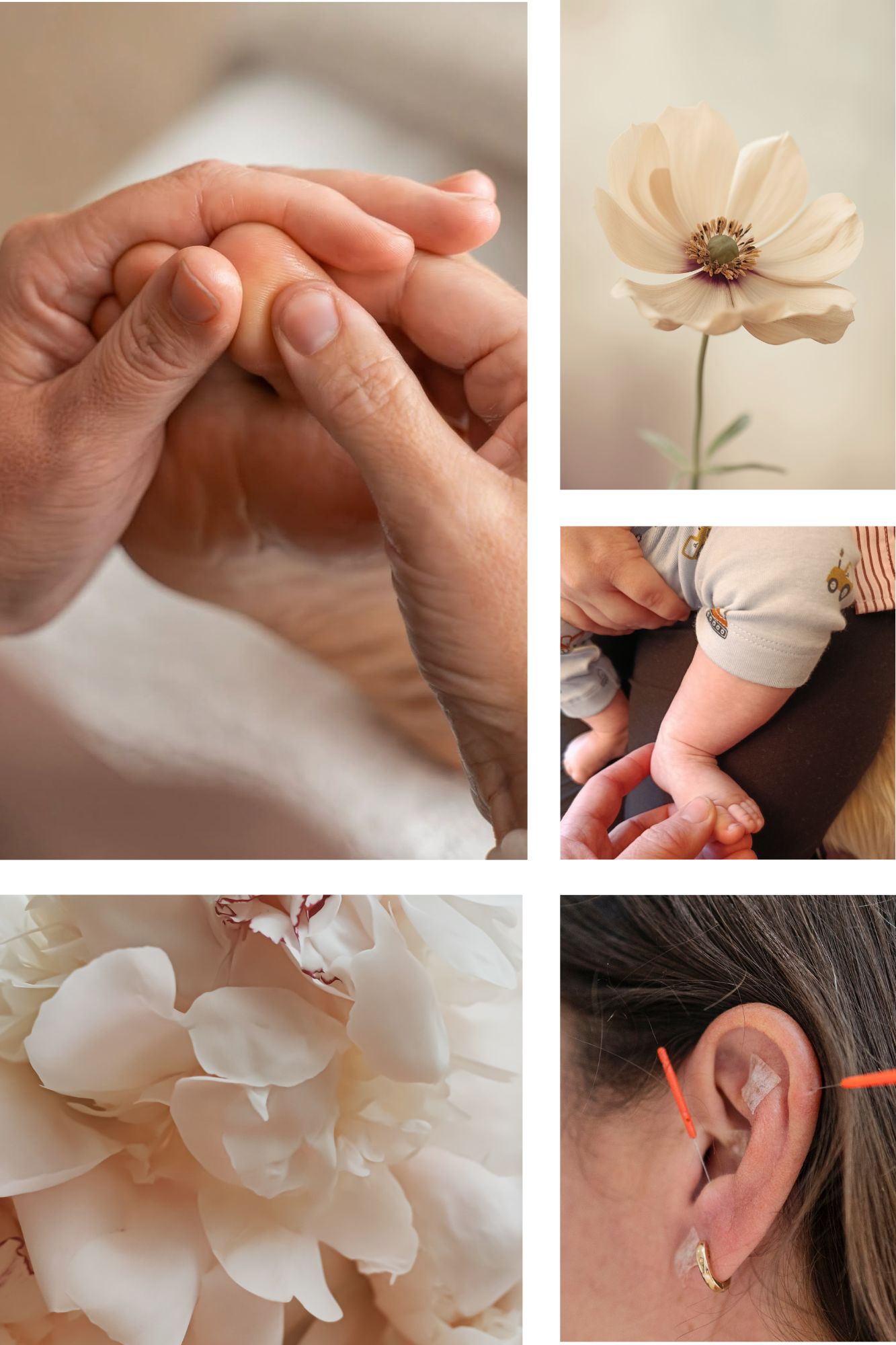 Et billede af Nina's vindueskarm